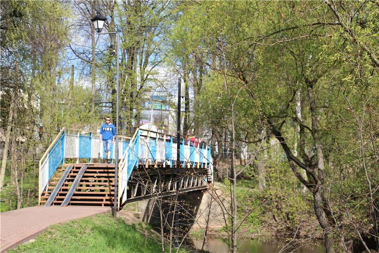 Один раз в год сады цветут (фото 2)