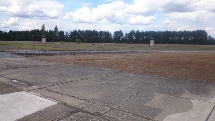 Спасибо Вам за смелость и отвагу, за небо мирное над головой (фото 4)