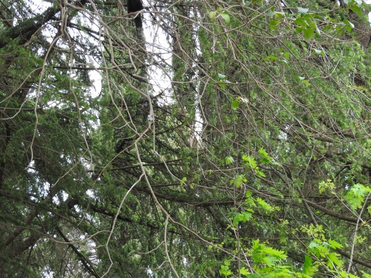 Сочи-Адлер: Южное Взморье - виртуальное путешествие по территории санатория