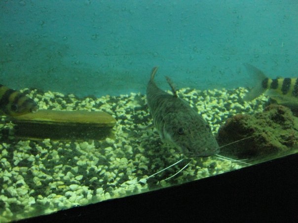 Путешествие на о. Кипр — Туризм и путешествия: фотоотчеты из поездок