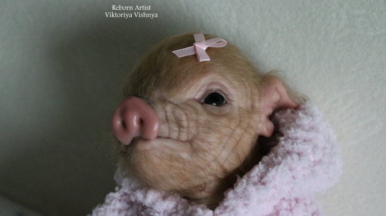 Поросенок Мила... куколка реборн Виктории Вишни (фото 9)