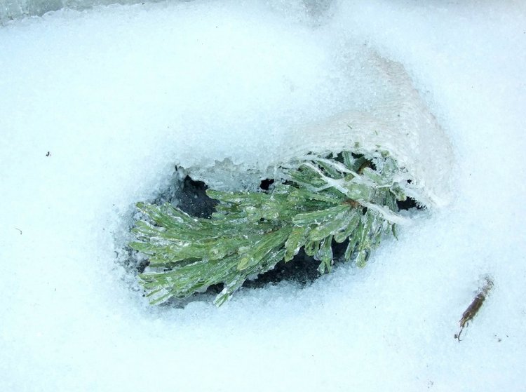 Ледяная красота на католическое Рождество в Чебоксарах, ловим солнечного зайчика... много фото | Бэйбики Ледяная красота на католическое Рождество в Чебоксарах, ловим солнечного зайчика... много фото