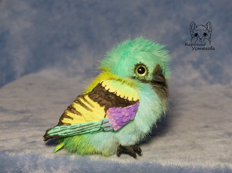 Зеленоголовая танагра, чудо птичка