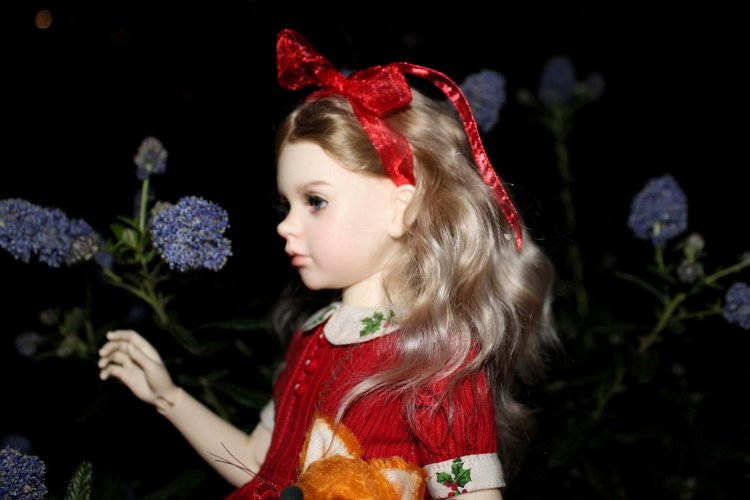 Розочка в вечернем саду — Куклы Dollshe Craft (Доллше): BJD (БЖД)