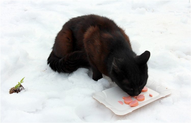 Путешествие в первый день Весны (фото 7)