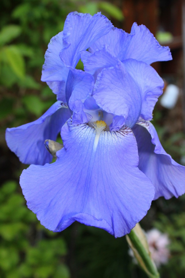 Любовь нечаянно нагрянет — Фэшн (фото 7)