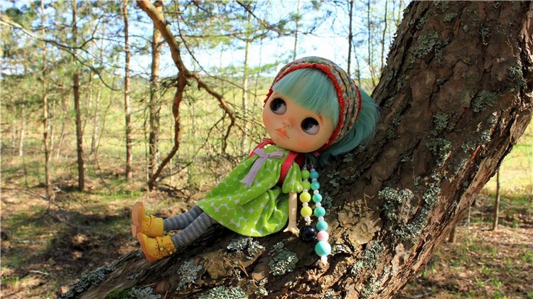 Долгая дорога к Волге. Custom Blythe Doll UFO Go Go Takara