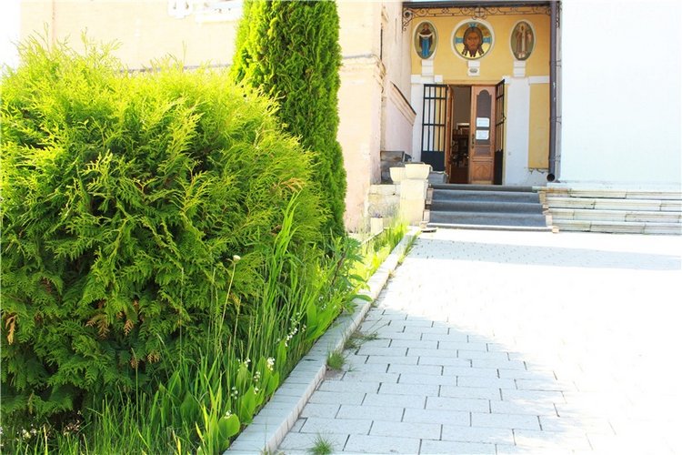 Из Чукавино в Старицу — Культура