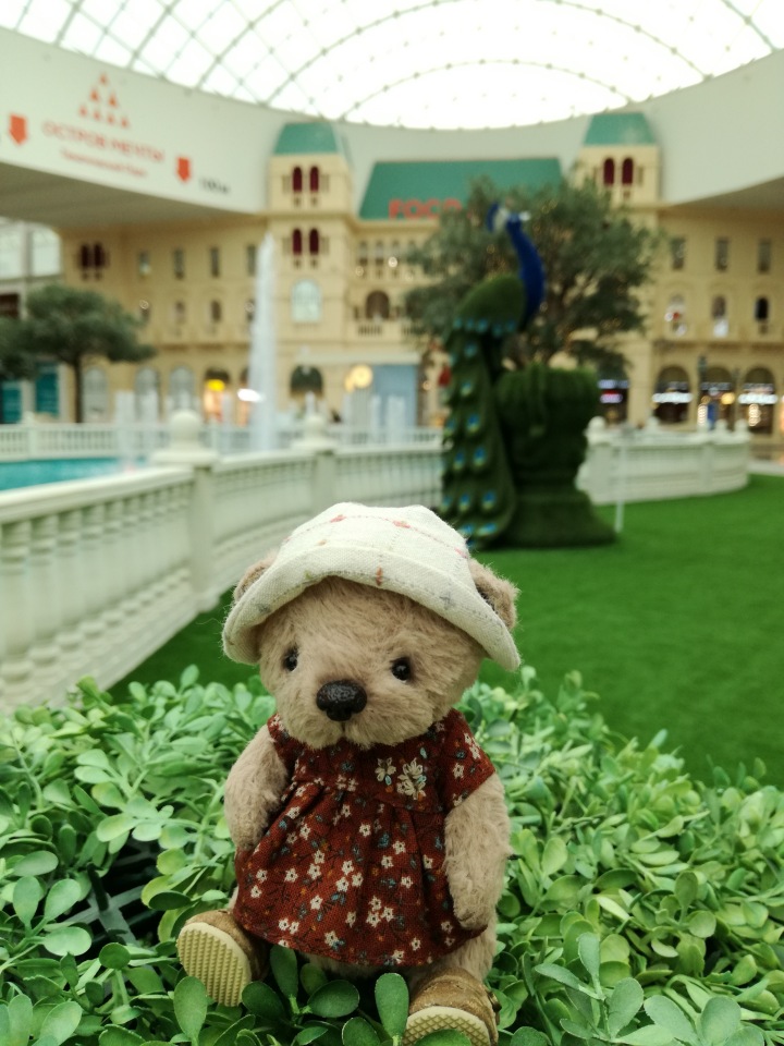 Знакомьтесь, новый вид медведей - медведь сумочный