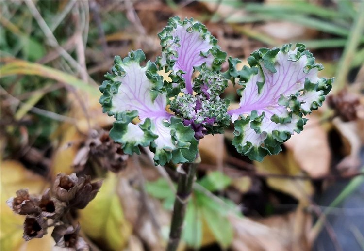 Путешествие по Святым местам Тверской области, продолжение