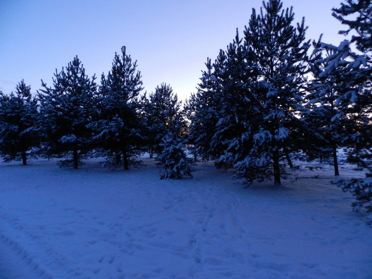 Кристинкина прогулка — Куклы Sissel Skille (Сиссель Скилле): Gotz (фото 2)