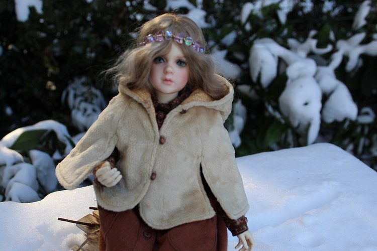 Розочка на снегу — Куклы Dollshe Craft (Доллше): BJD (БЖД)