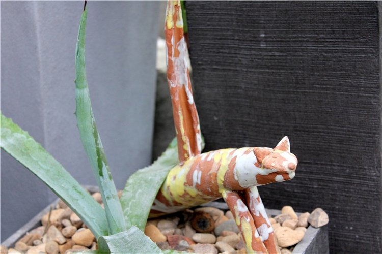 Тверской Ботанический Сад, продолжение | Бэйбики Тверской Ботанический Сад, продолжение