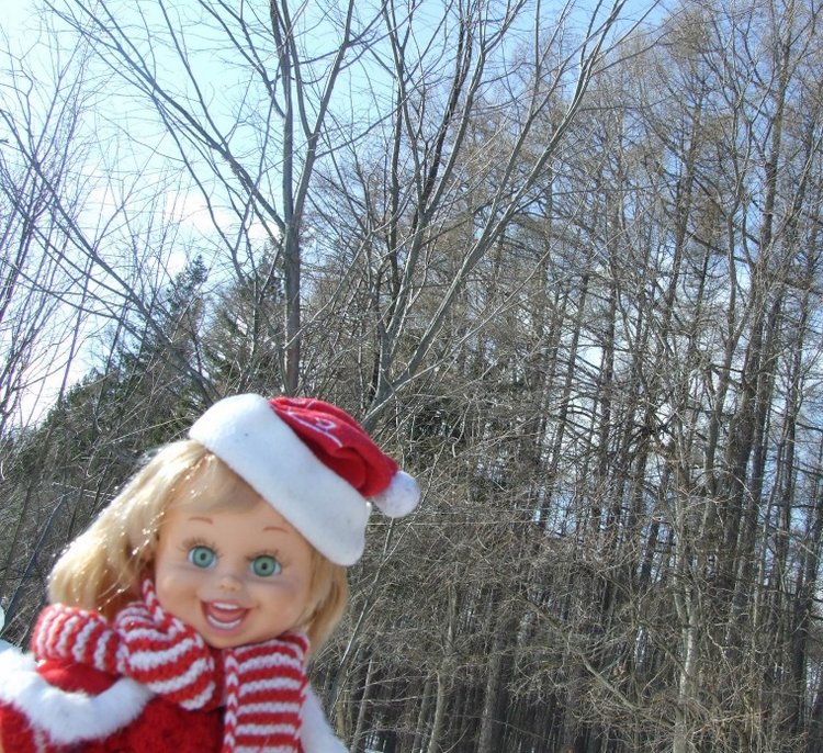 Солнечный денек - в день рождения Весны (фото 7)