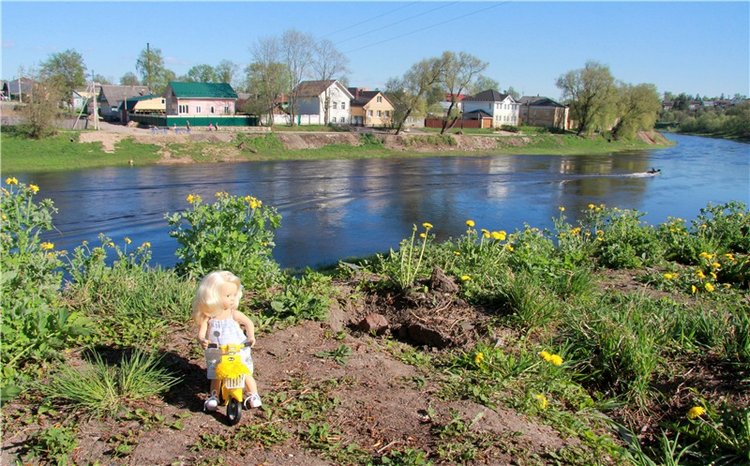Одуванчиковая нежность, прогулка по Торжку