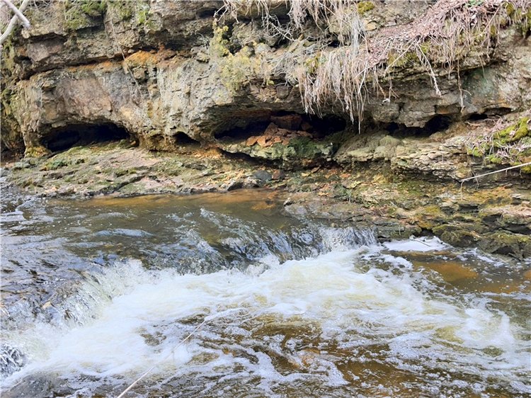 Путешествие Имани в ПанИку