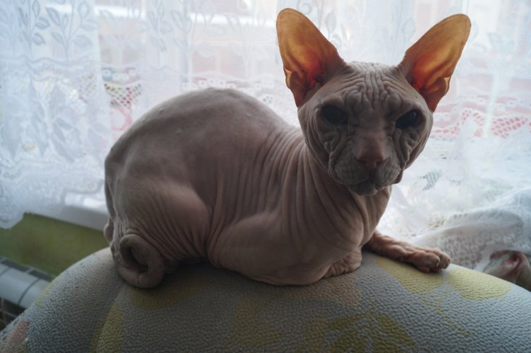 Четвёртая выписка ноября. Всю неделю перепрошивала и допрошивала семь Лолит