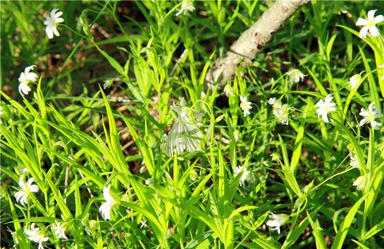 Заюшка Таточка. Авторская ручная работа Труничевой Ирины