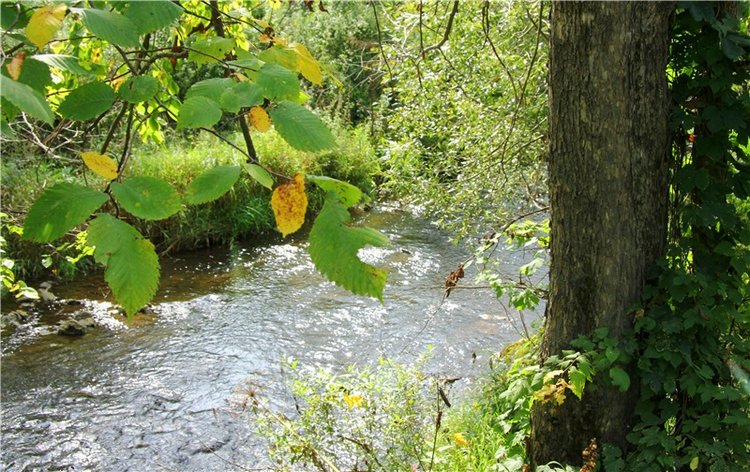 Старицкая Швейцария. Путешествие с Сашей, продолжение. Уникальная кукла от Сильвии Наттерер