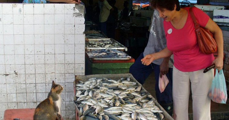 А кто ты — Болталка и разговоры обо всем: жизнь