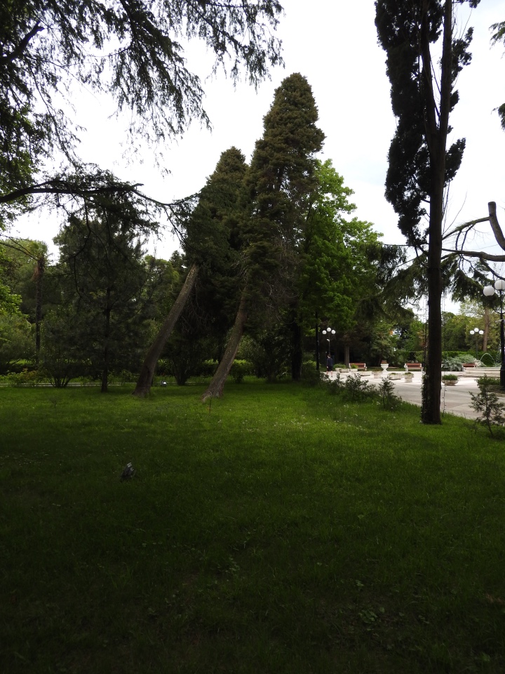 Сочи-Адлер: Южное Взморье - виртуальное путешествие по территории санатория