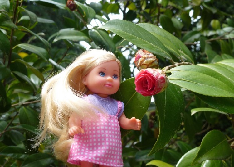 Сочи-Адлер: Южное Взморье - Мои любимые куколки на отдыхе