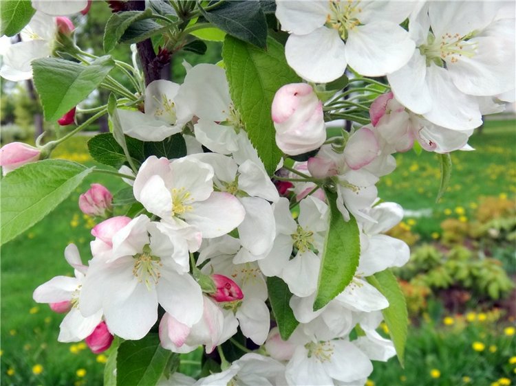 Милый мой город. Прогулка по Твери, заключительная часть