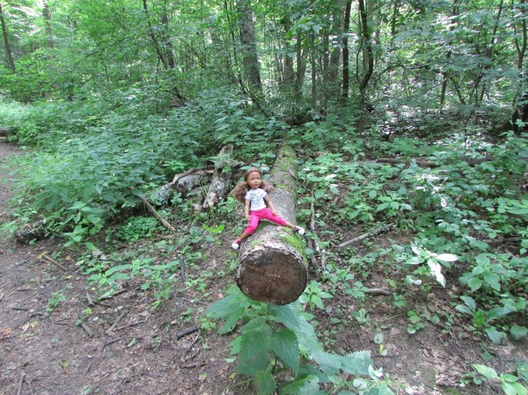 Веселое путешествие по Парку Измайлово