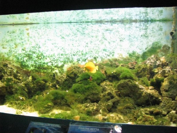 Путешествие на о. Кипр — Туризм и путешествия: фотоотчеты из поездок