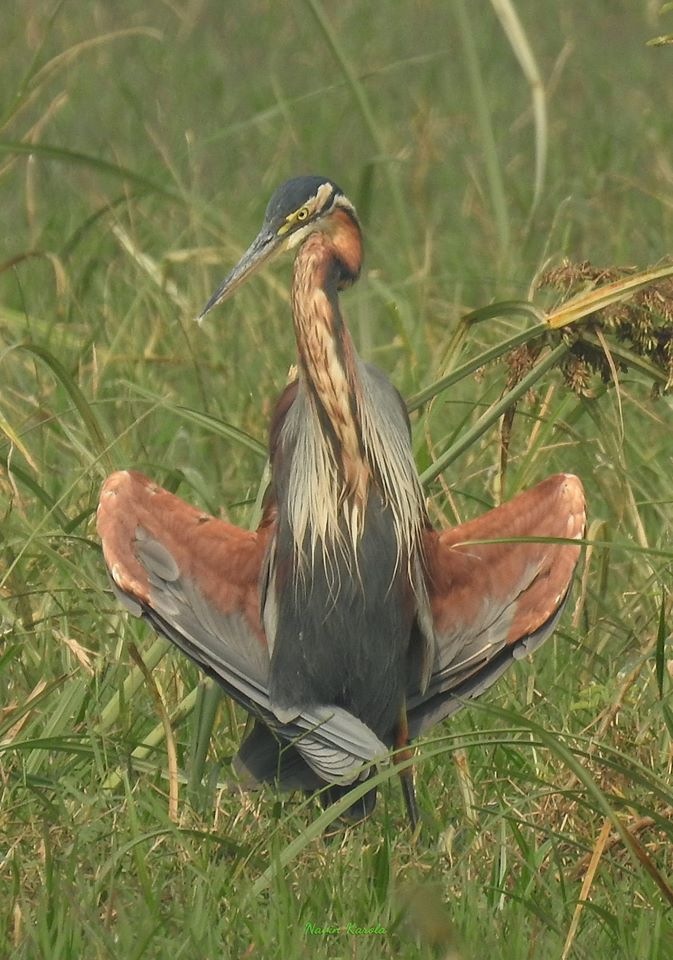 Любителям природы - профессиональные фотографии (выпуск 4)