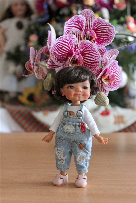 Кирра и "Медовые" девчата. Kyrra Fair Meadow doll