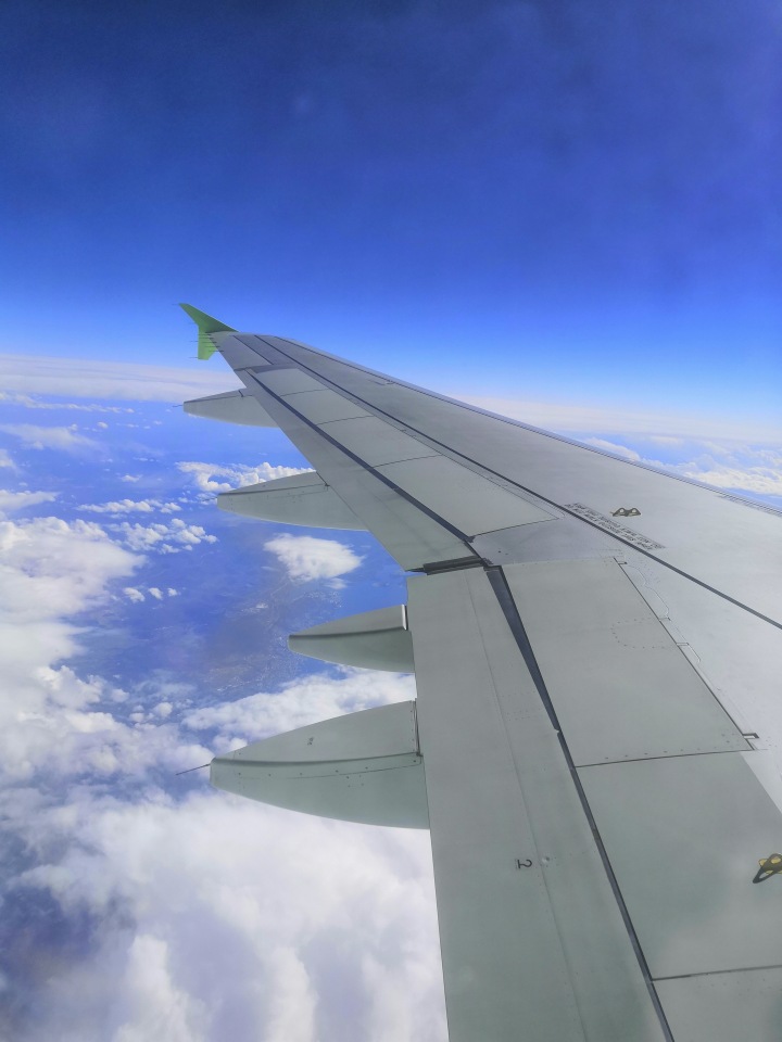 До пандемии. Путешествие по Италии, часть 1 (Кьянти, Сиена) (фото 4)