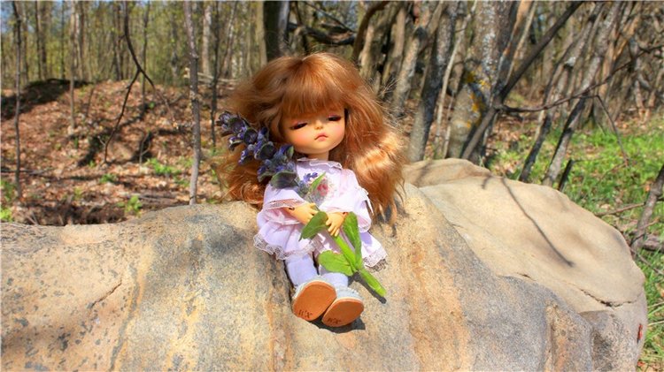 Путешествие Софи в Старицу, продолжение. Lati HoneyBee New Mystic Sophie