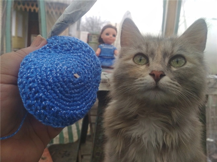 Моя новенькая кукложительница - Асяська (фото 5)