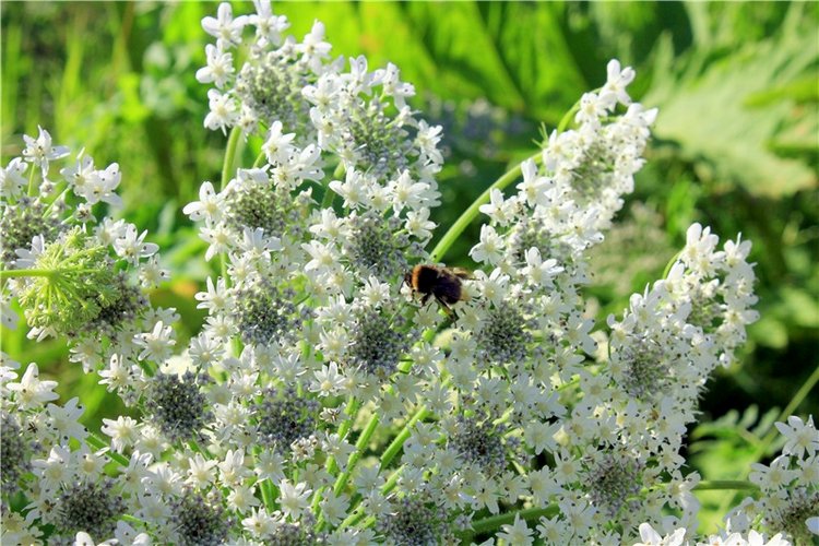 Путешествие Эли на красивый берег реки Волги