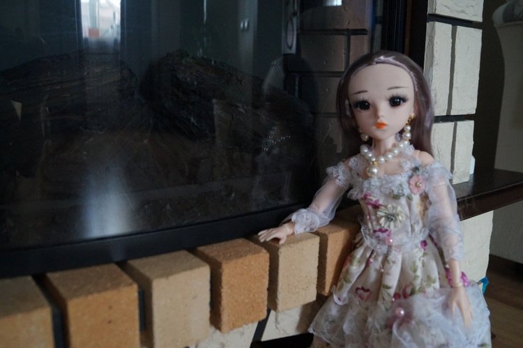 Я подарю сестрёнке куклу — Разные шарнирные куклы (не БЖД): редкие