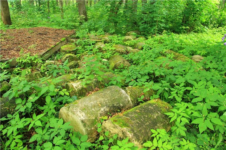 Путешествие Виолы в Усадьбу Знаменское-Раёк