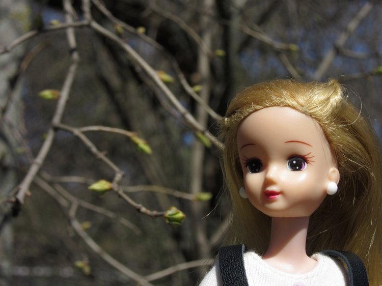 Пробуждение весны — Куклы Takara Tomy (Такара): Licca (Ликка)