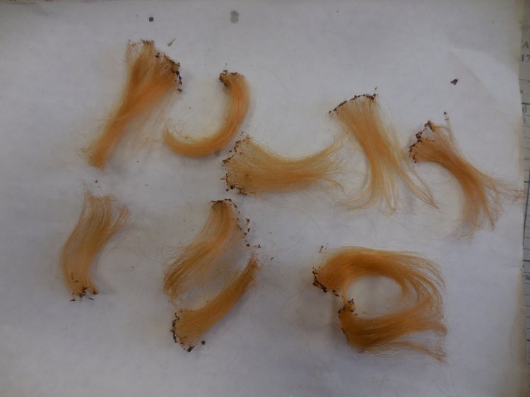 МК для «непродвинутых» и как усложнить себе жизнь или мучения мартышки. Часть 1