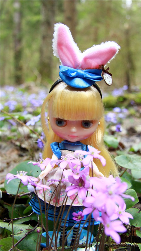 Застенчивая Алиса. Middie Blythe Doll Pebble Cakes & Shrinking Alice