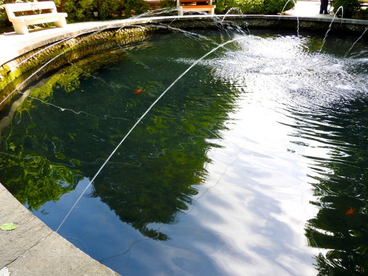 Краснодарский Край, Сочи-Адлер, Санаторий «Южное Взморье»