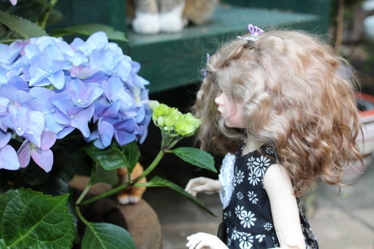 Поиск образа для Розочки. Знакомство с садом