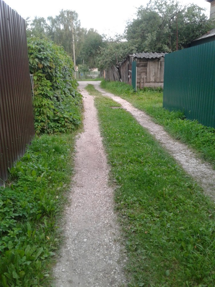 Просто Макс — Кукольные фотоистории и сериалы: комиксы (фото 6)