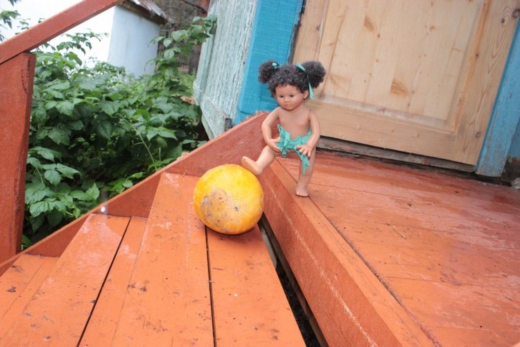 Базовичок обыкновенный. Дикий, но симпатичный | Бэйбики Базовичок обыкновенный. Дикий, но симпатичный