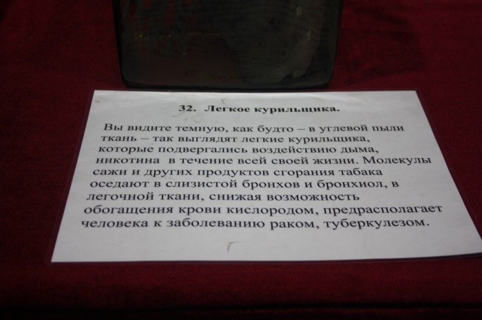 Псков: Петербургская Кунсткамера у нас в гостях. СТРОГО 18 + (фото 9)