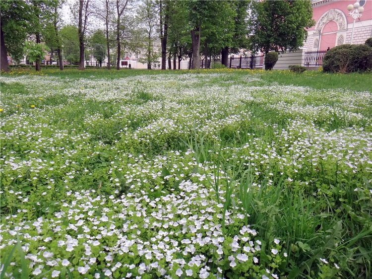 Милый мой город. Прогулка по Твери, заключительная часть