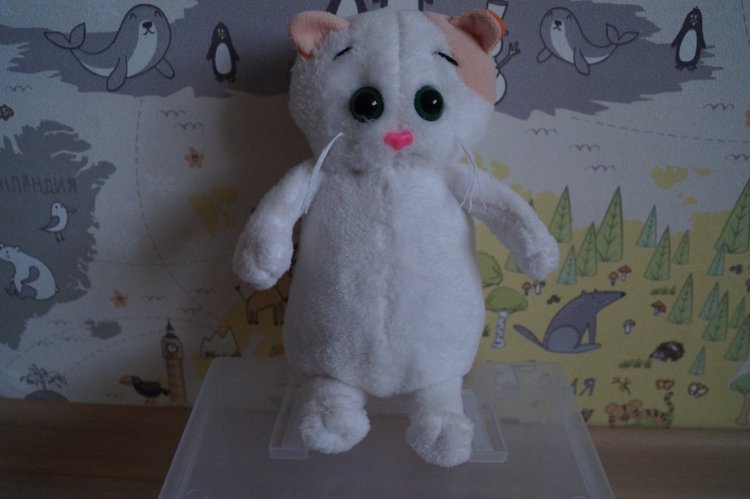 Как Агаша кошечку шила — Другие хобби и увлечения: сад