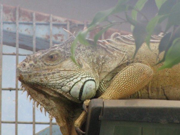 Путешествие на о. Кипр — Туризм и путешествия: фотоотчеты из поездок