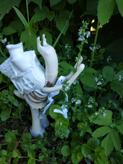 Wonderfrog. Красота в простоте