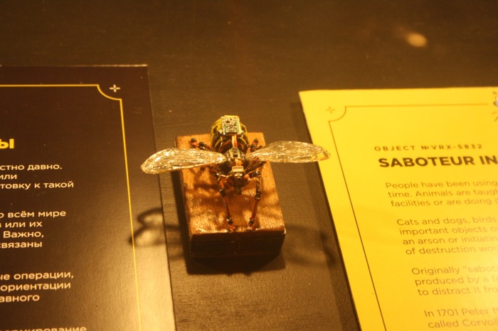 Петербург. Музей НЕправды (18+). Часть 1